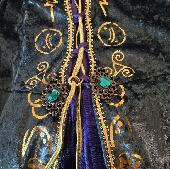 Disney Hocus Pocus Winifred Sanderson Cosplay Costume Dress Adult Womens 2X - Picture 5 of 8